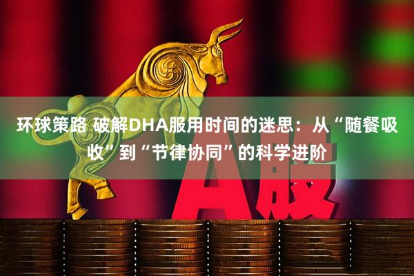 环球策路 破解DHA服用时间的迷思：从“随餐吸收”到“节律协同”的科学进阶